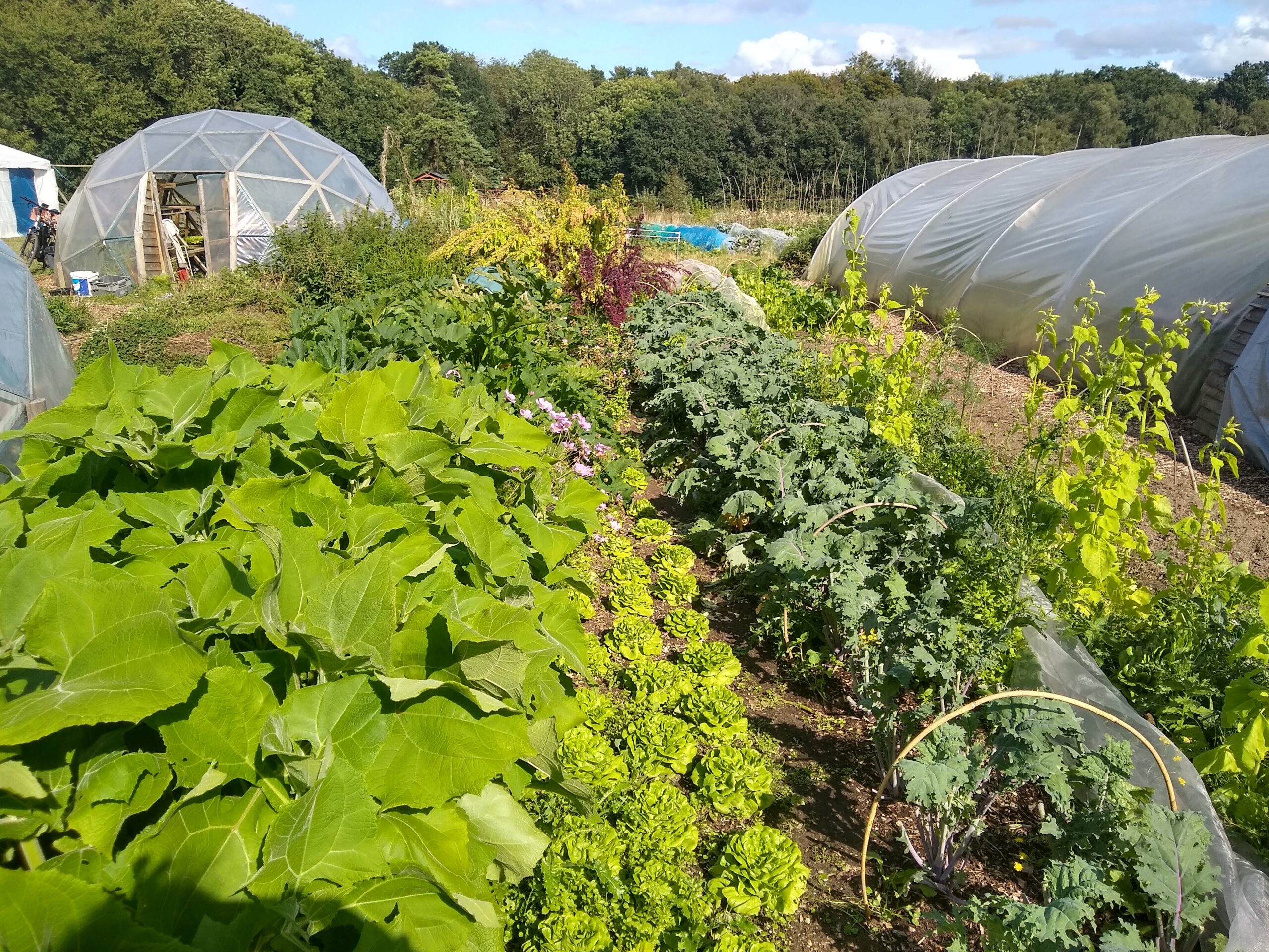 What’s Up With Agroecology Now!? 2019/05 Update
