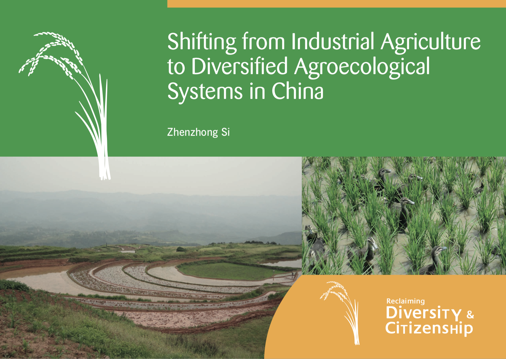 Shifting from Industrial Agriculture to Diversified Agroecological Systems in China